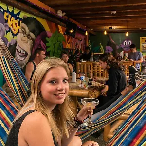 Purple Monkey Colômbia
